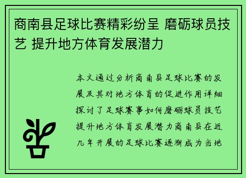 商南县足球比赛精彩纷呈 磨砺球员技艺 提升地方体育发展潜力